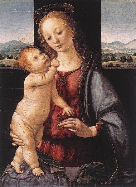 LORENZO DI CREDI Madonna and Child with a Pomegranate Norge oil painting art